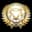 Elite Jonin